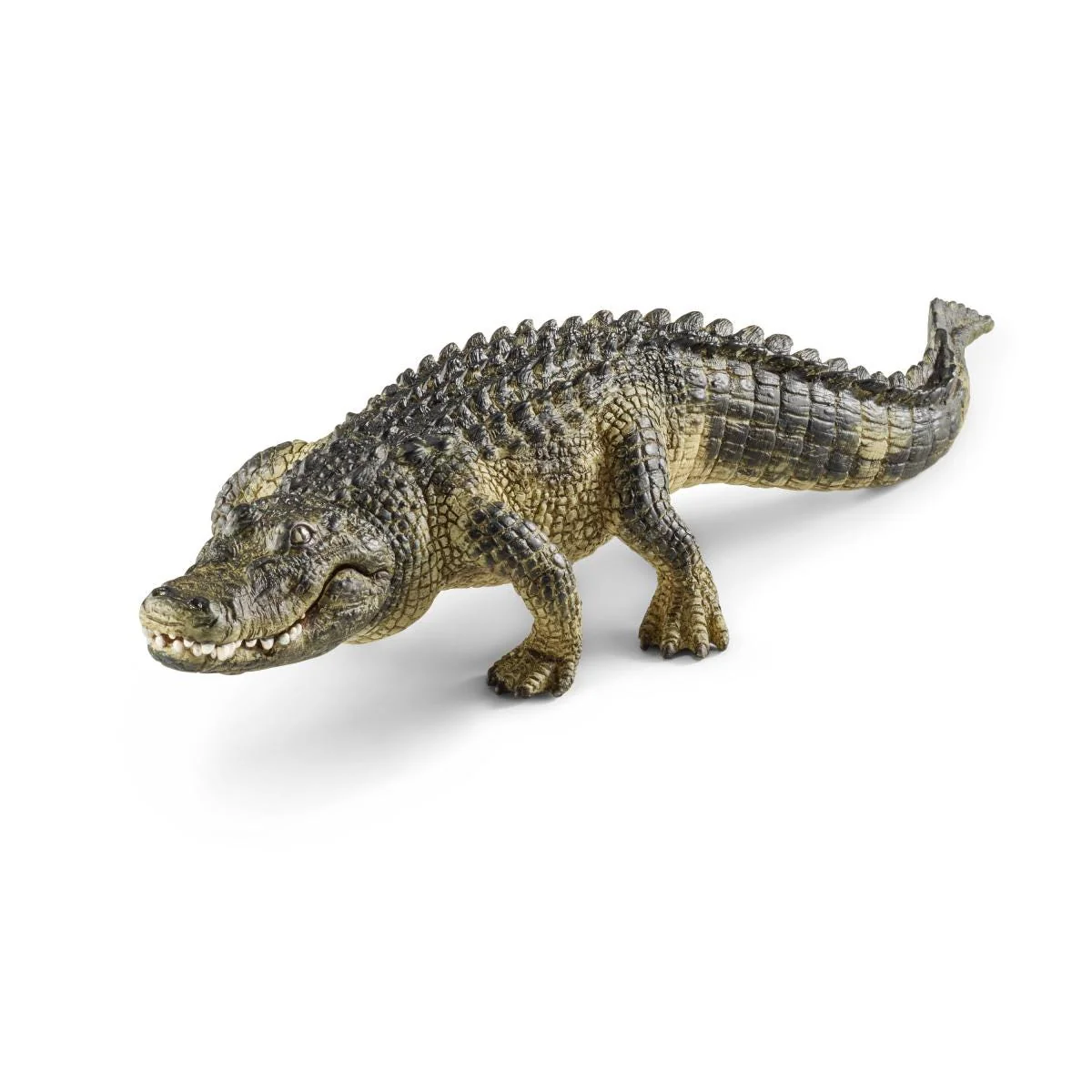 Miniature 2