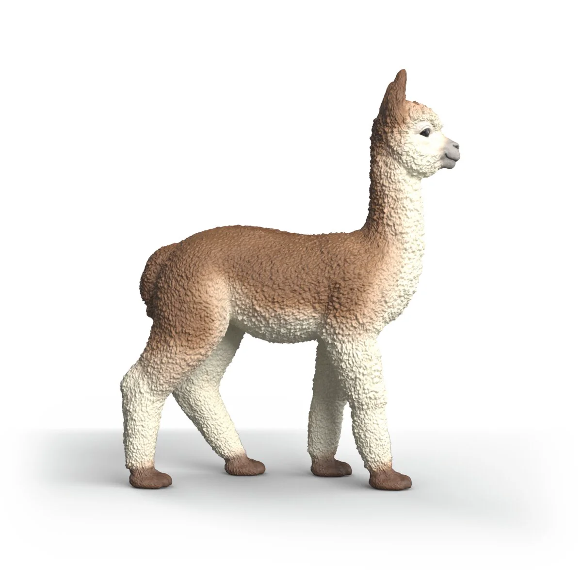 Miniature 5