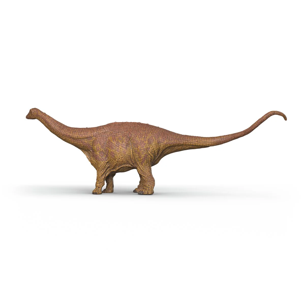 Miniature 5