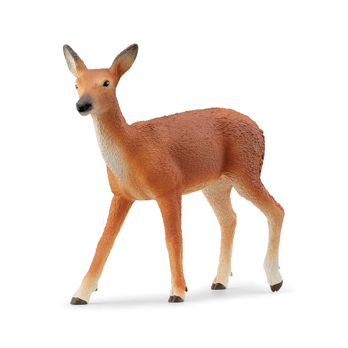 Miniature 5