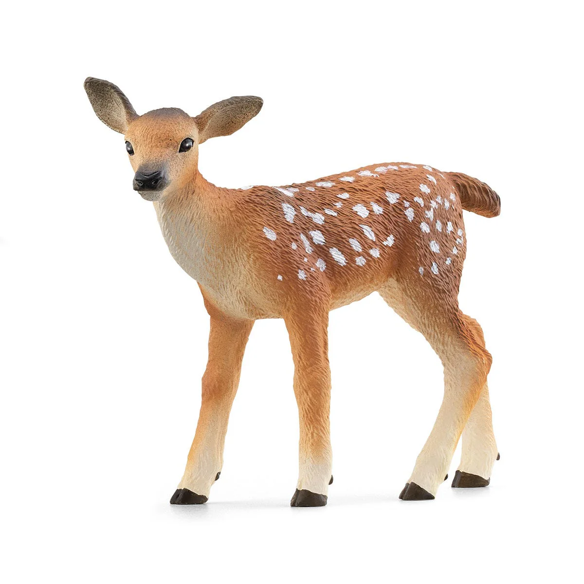 Miniature 6