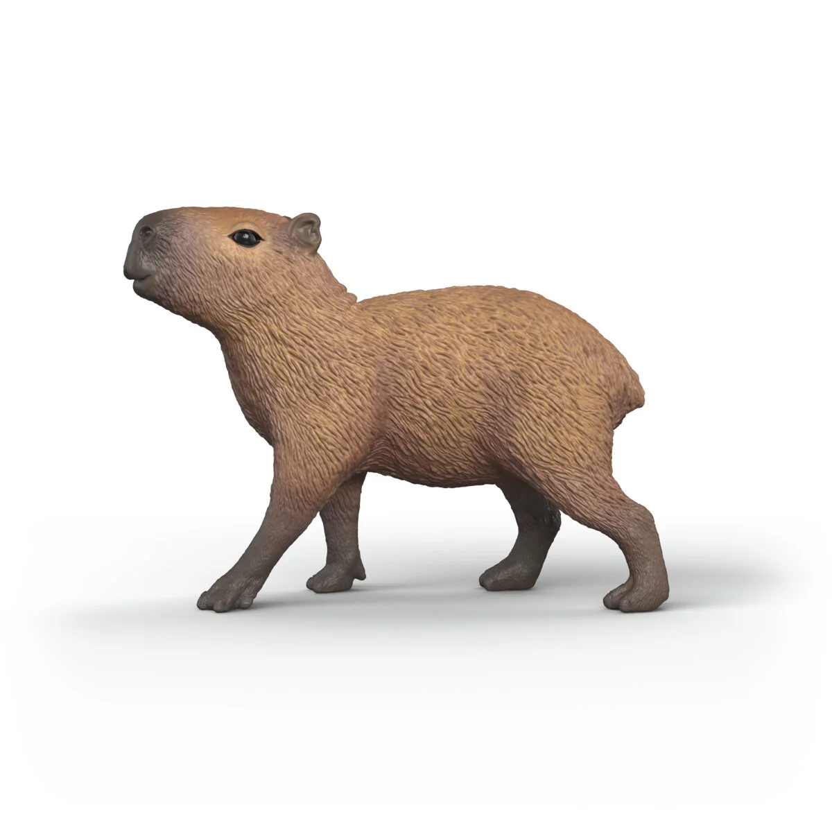 Miniature 4