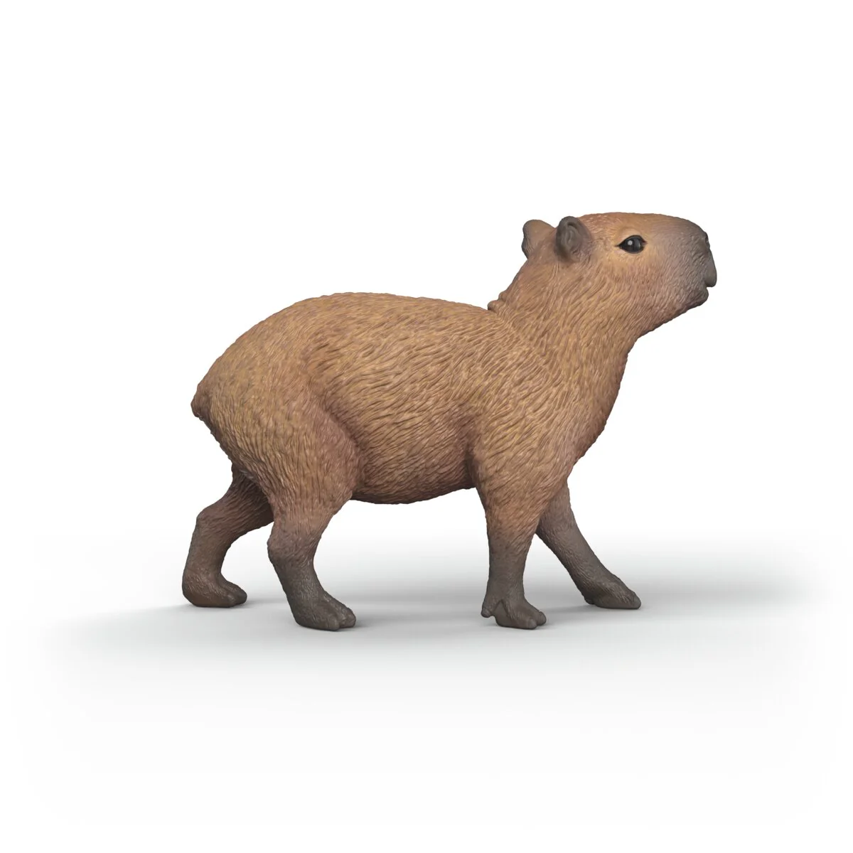 Miniature 5