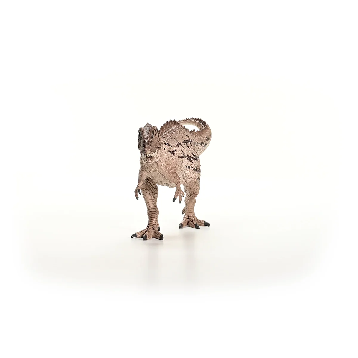 Miniature 5