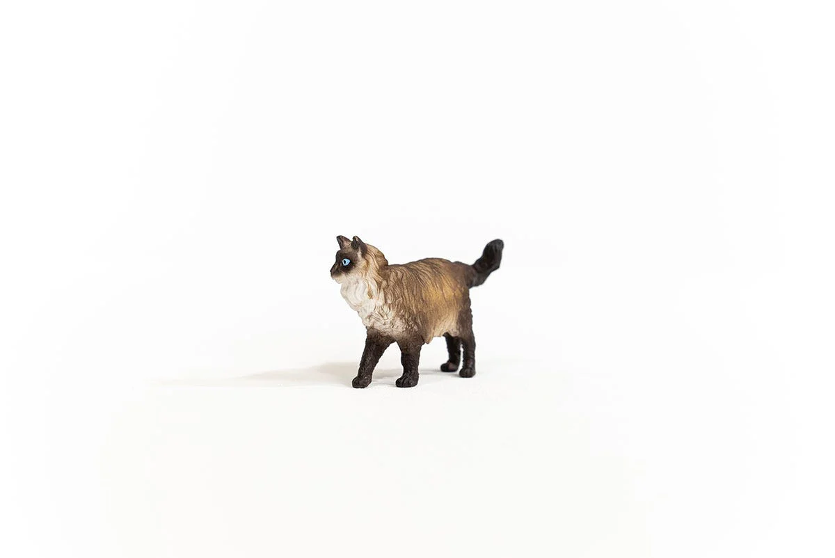 Miniature 2