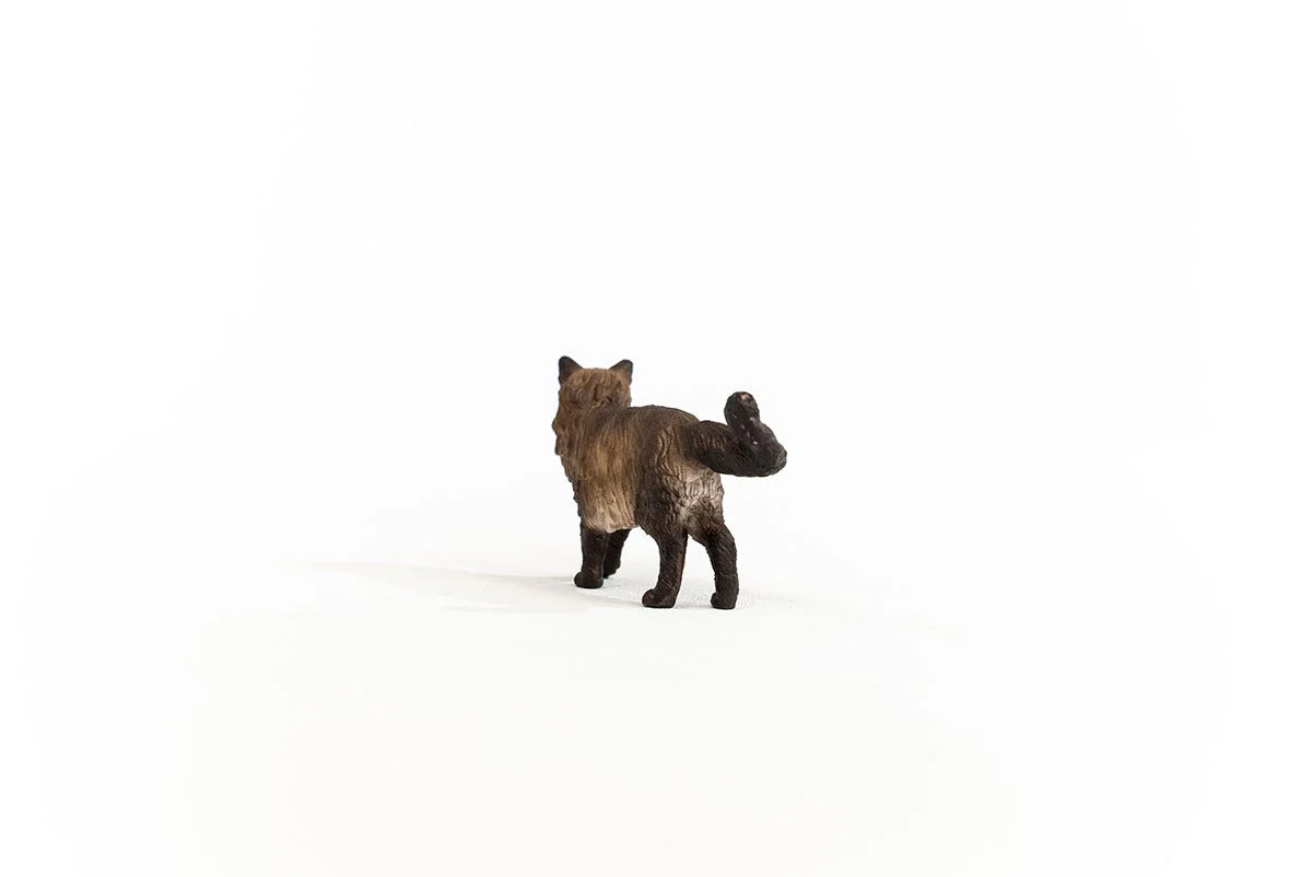 Miniature 3