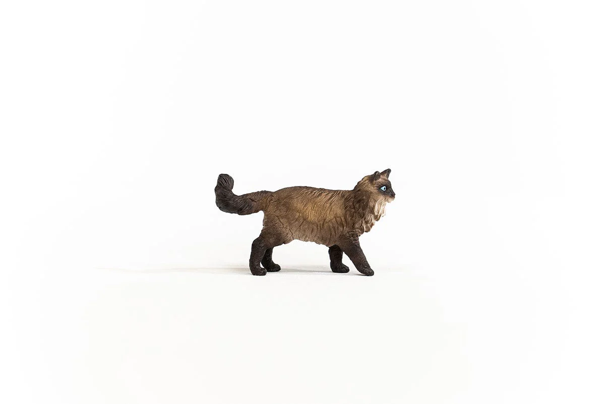 Miniature 4