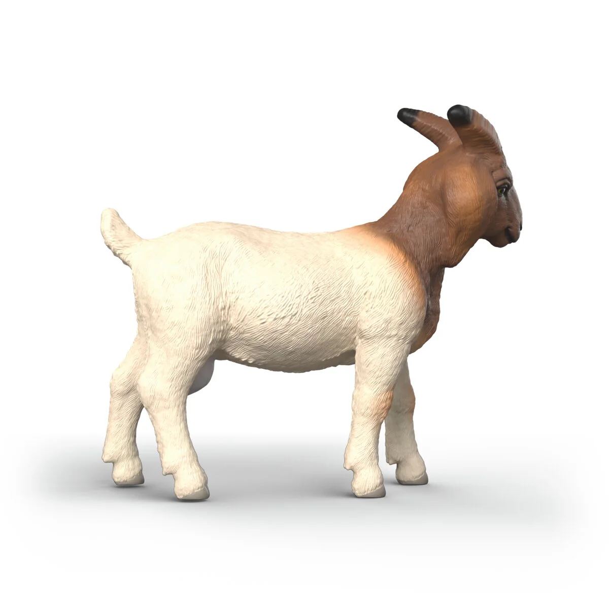 Miniature 3