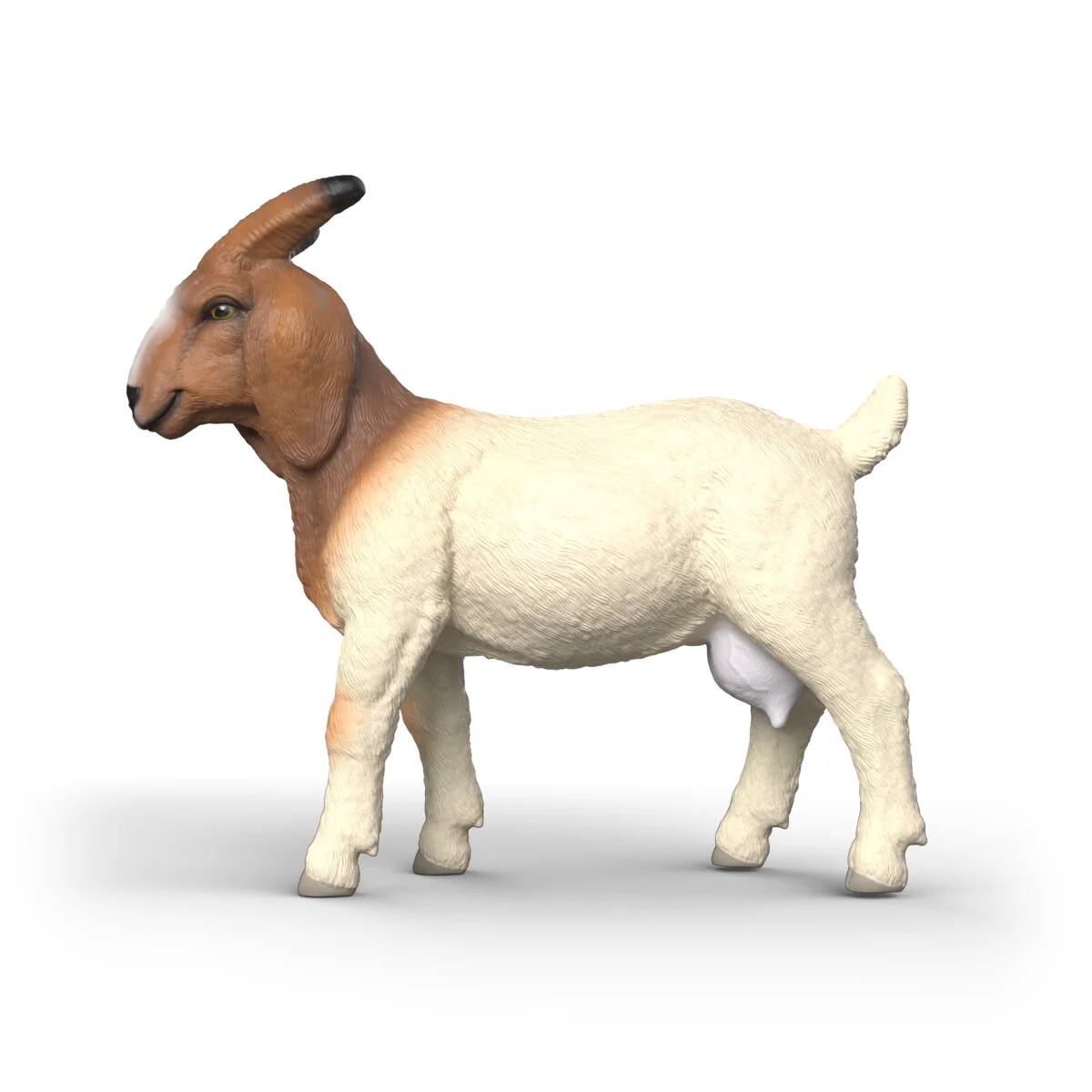 Miniature 5