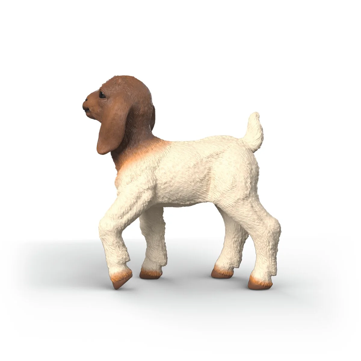 Miniature 5