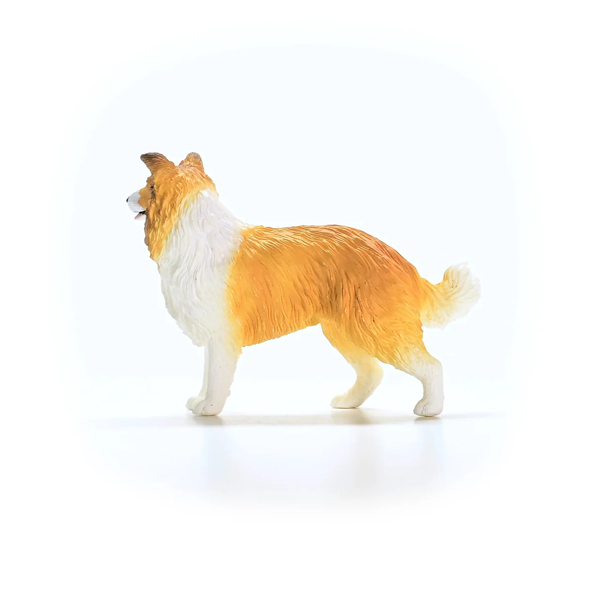 Miniature 5