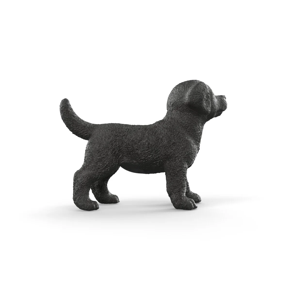 Miniature 4