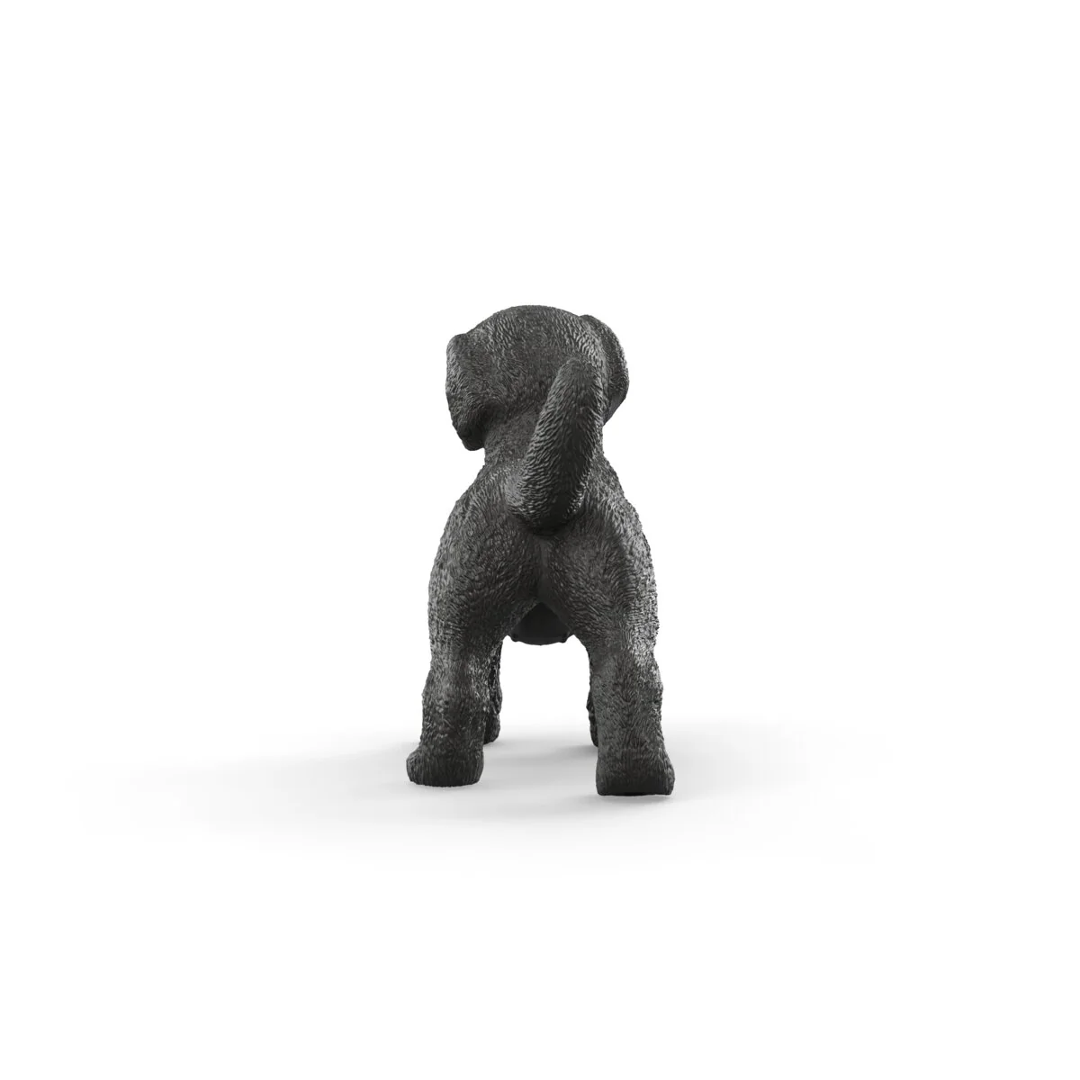 Miniature 5