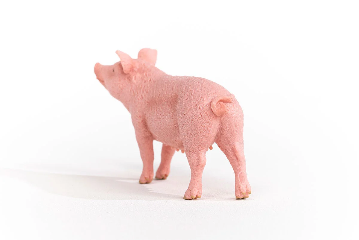 Miniature 4