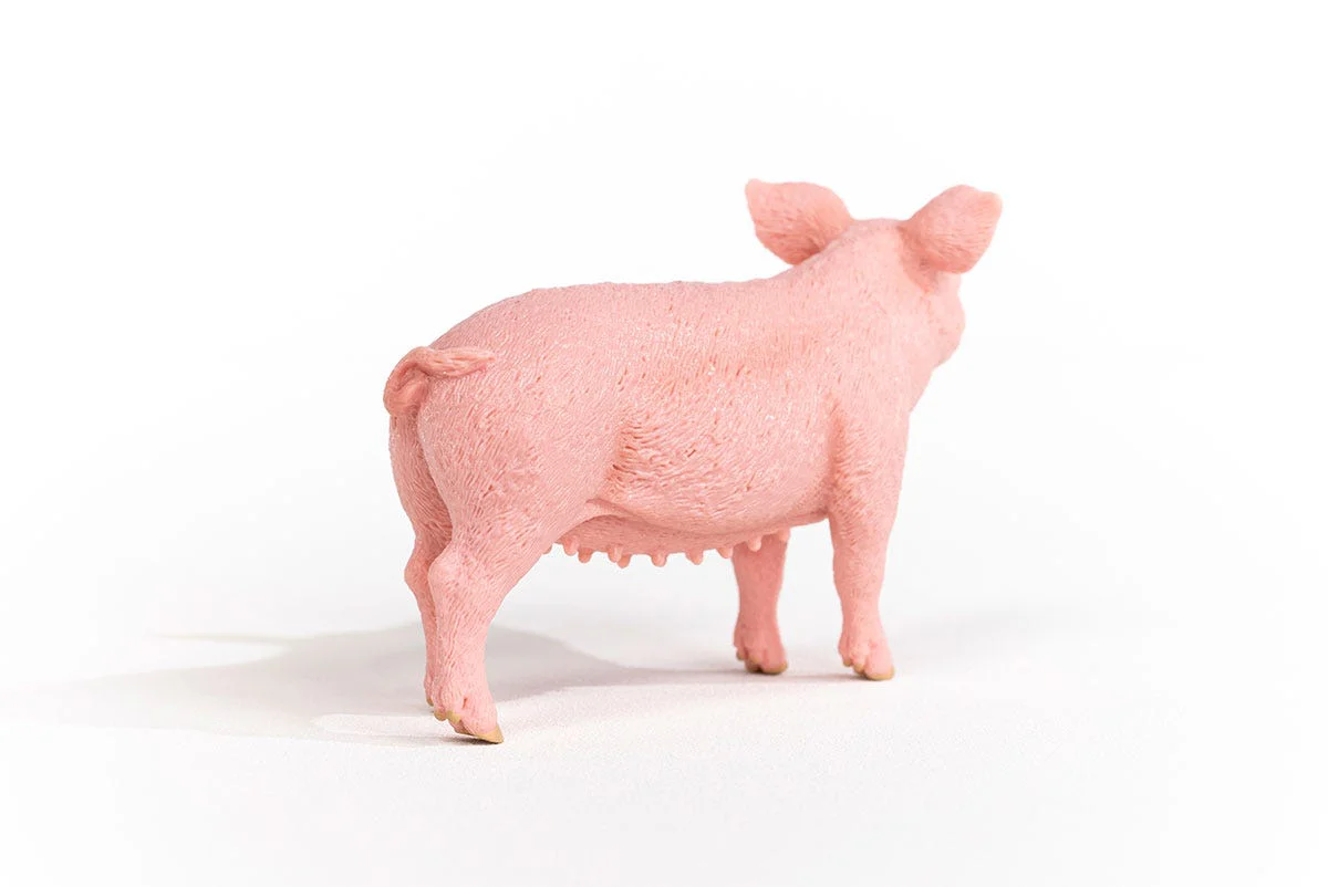 Miniature 5