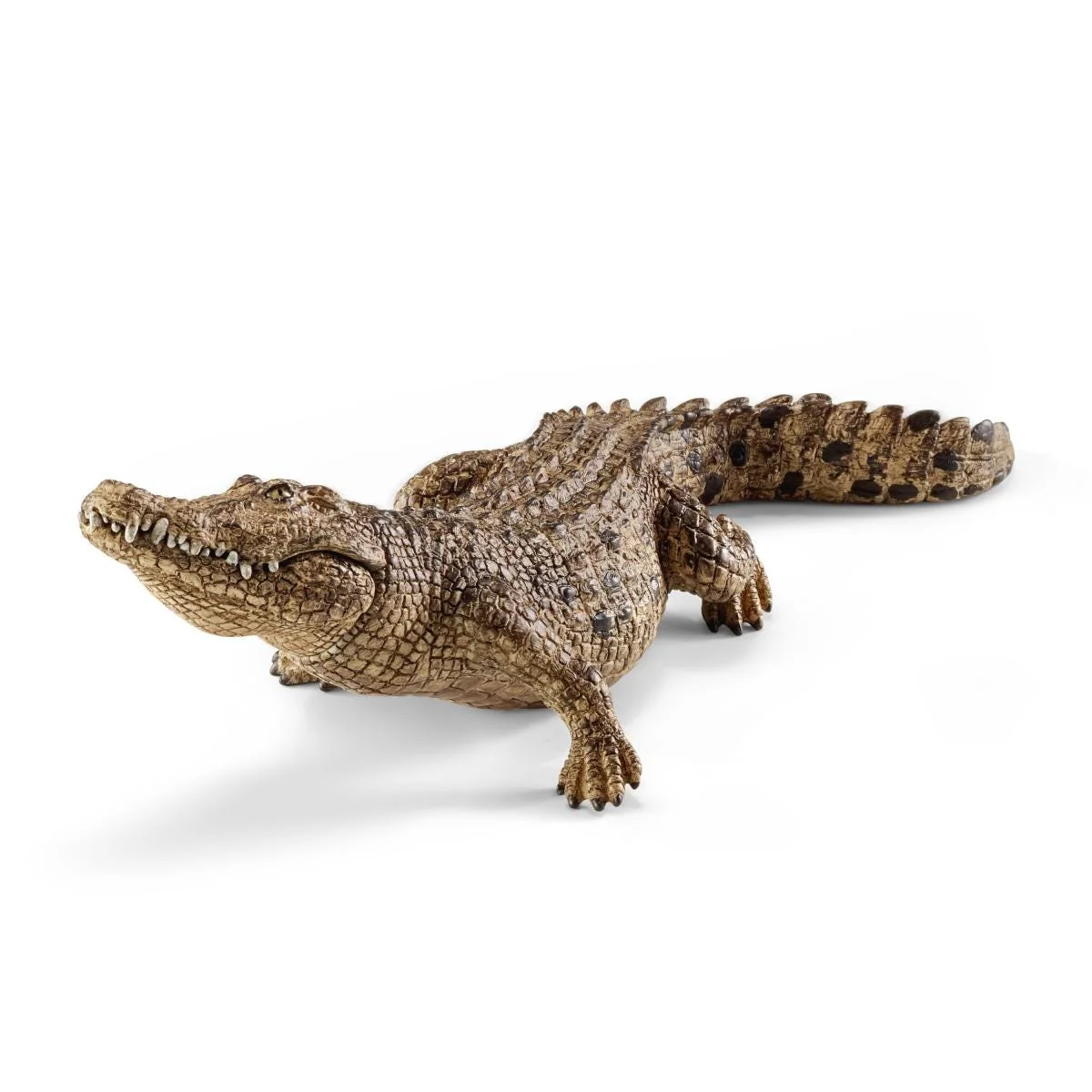 Miniature 5