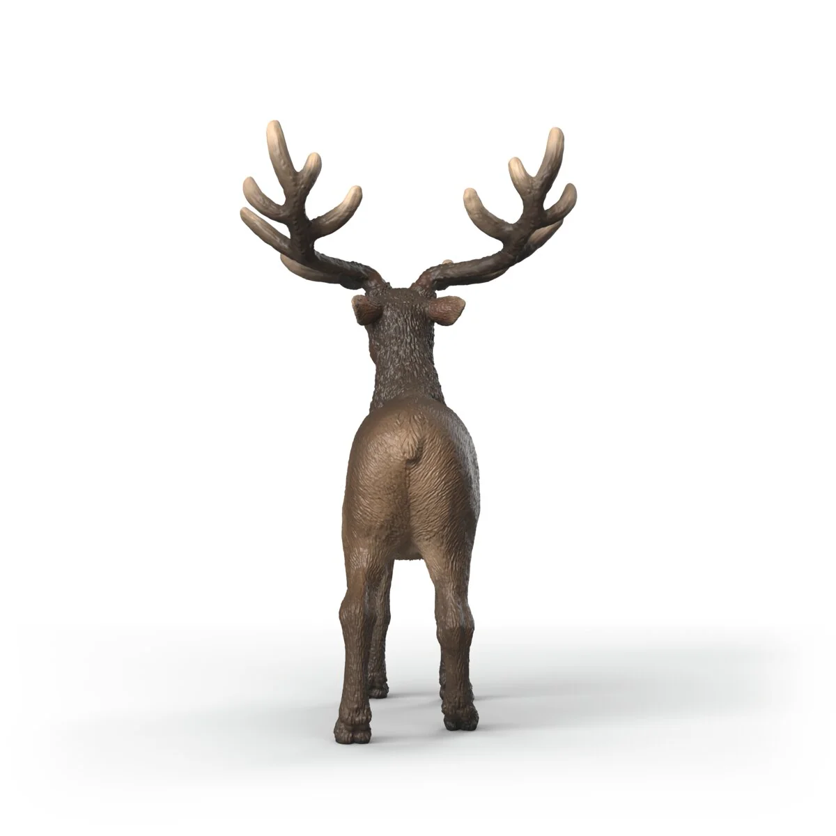 Miniature 4