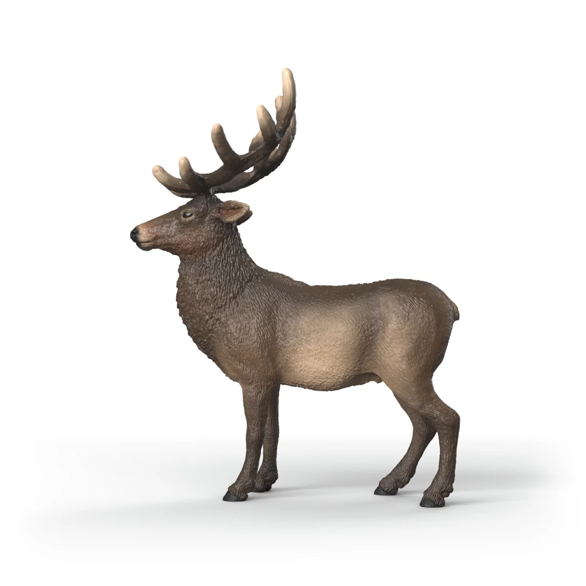 Miniature 5