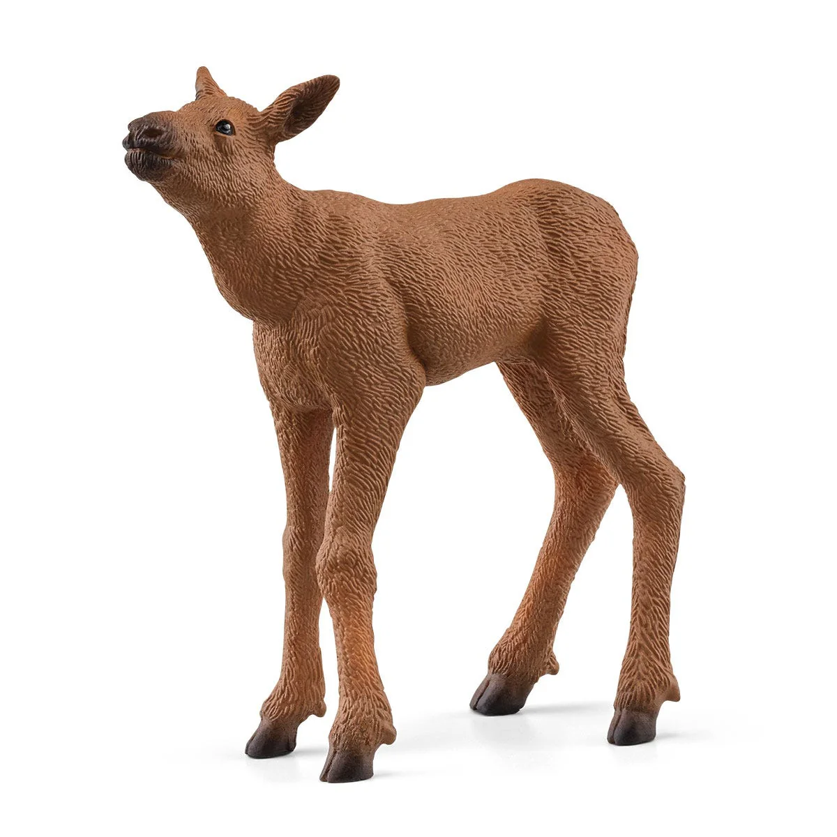 Miniature 5