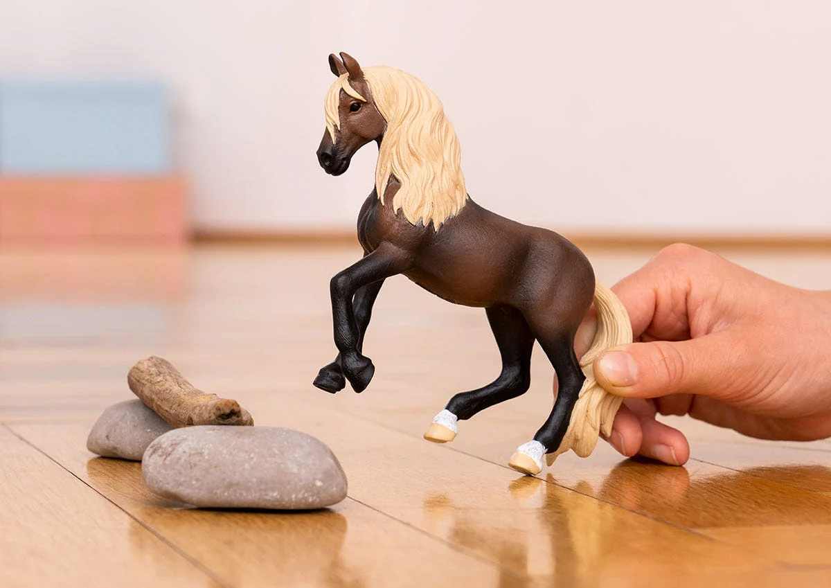 Miniature 5