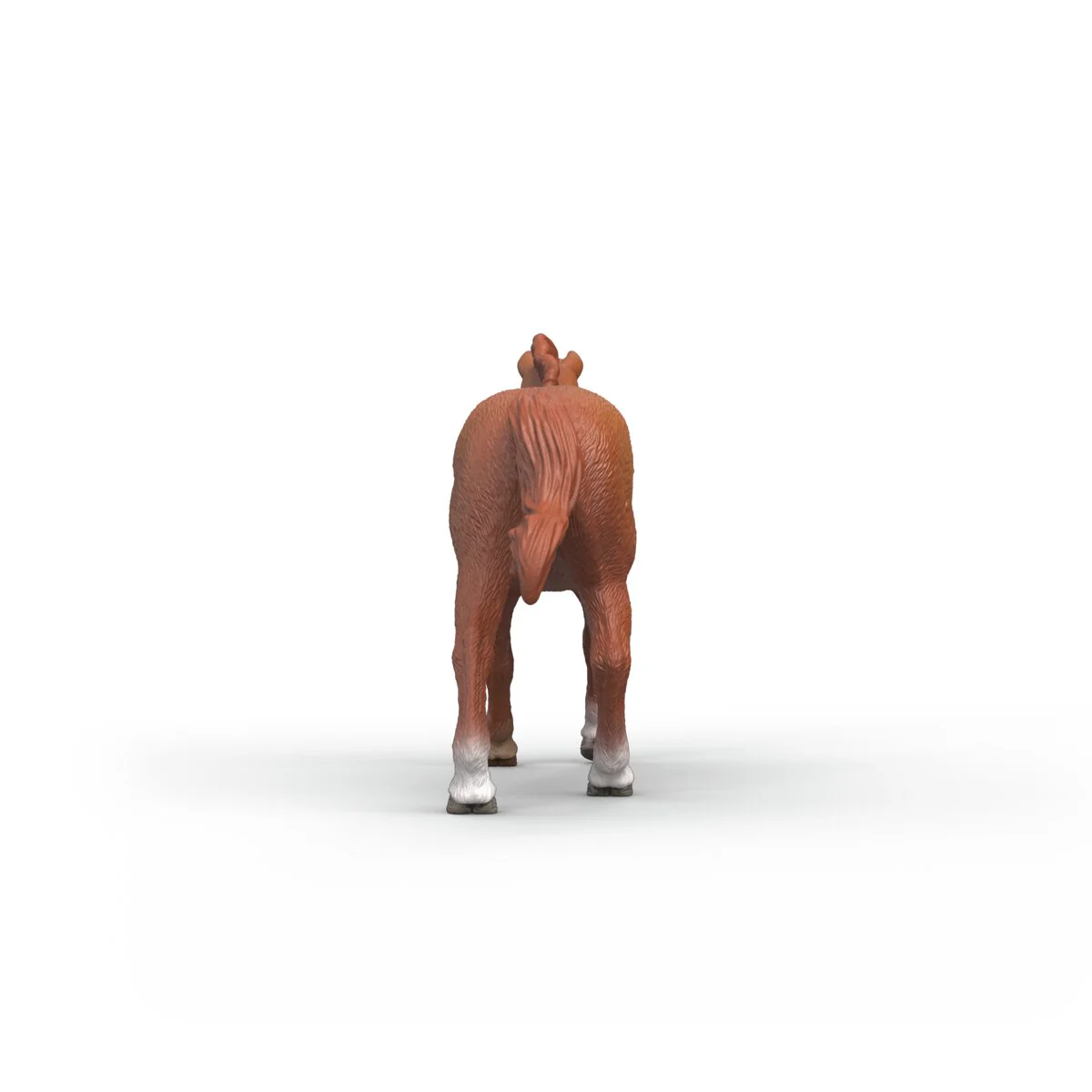 Miniature 5