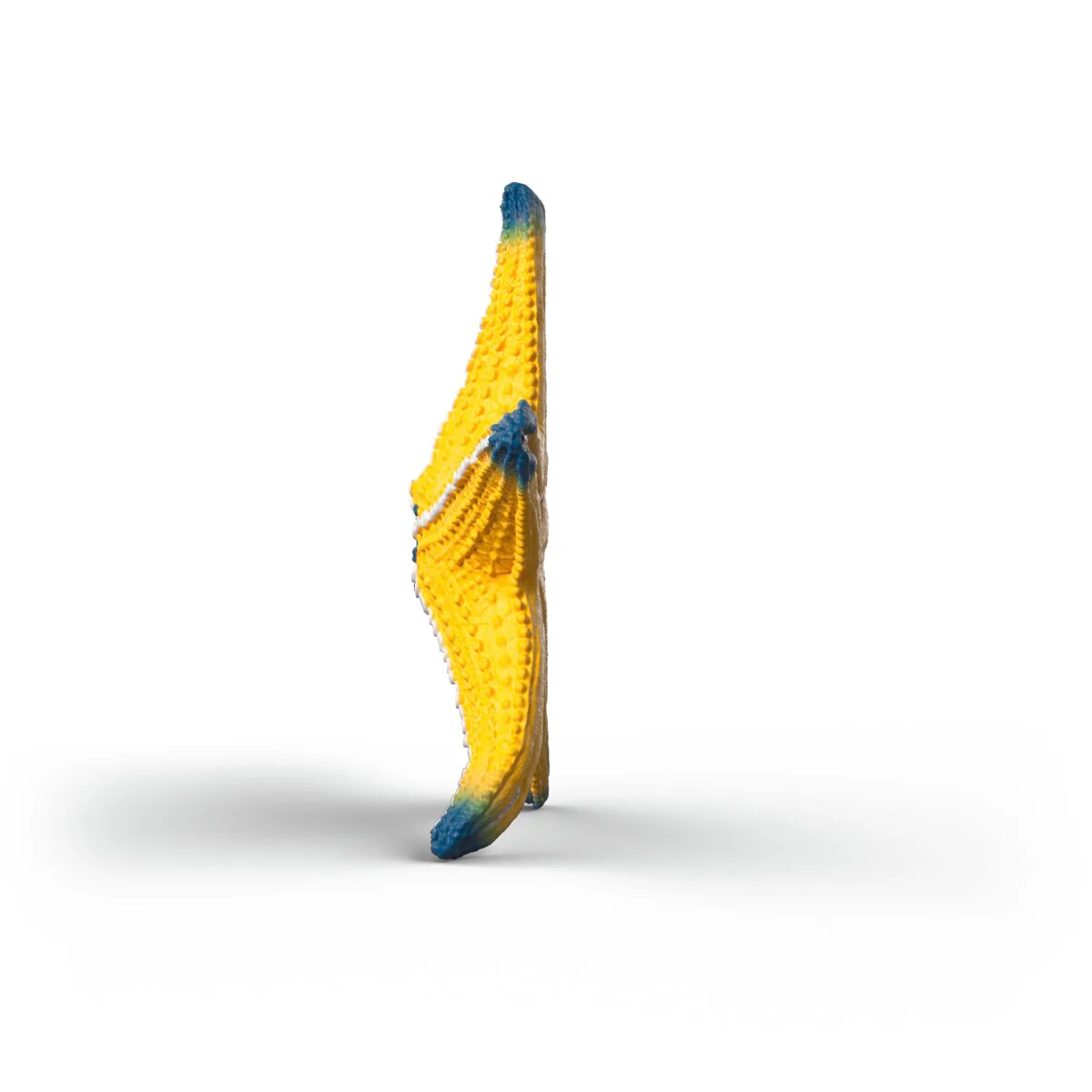 Miniature 5