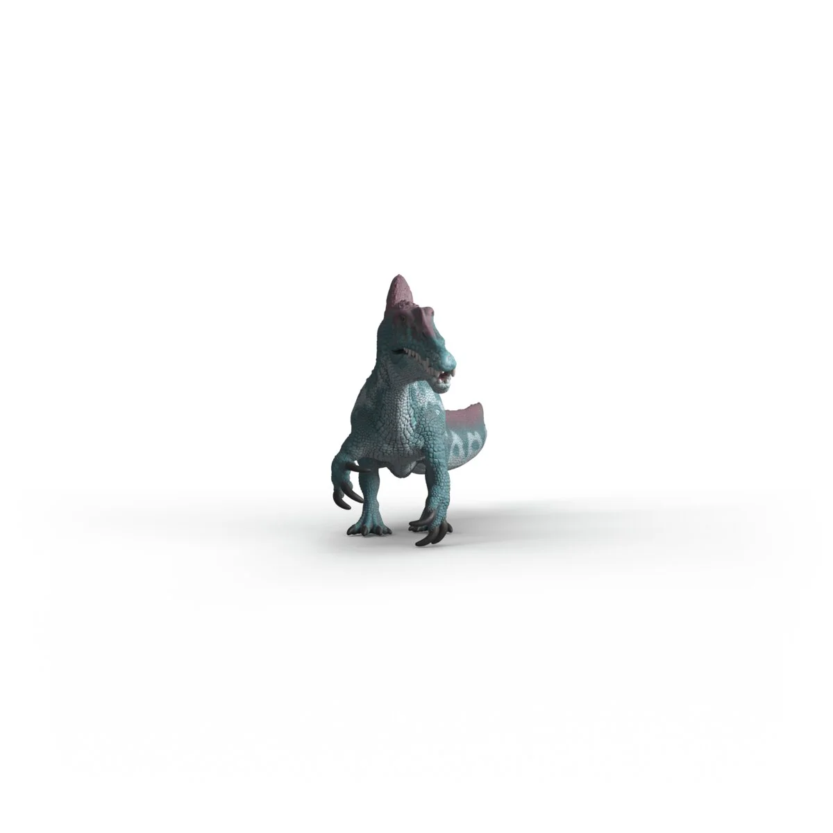 Miniature 6