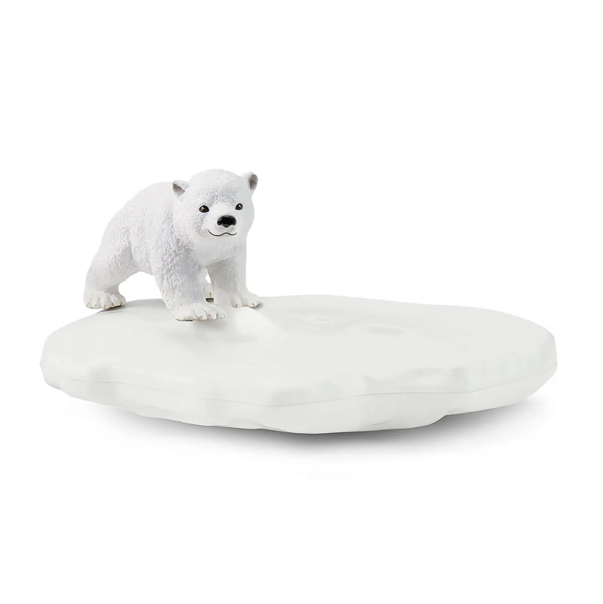 Miniature 5