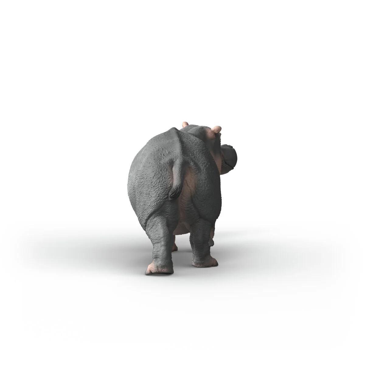 Miniature 4