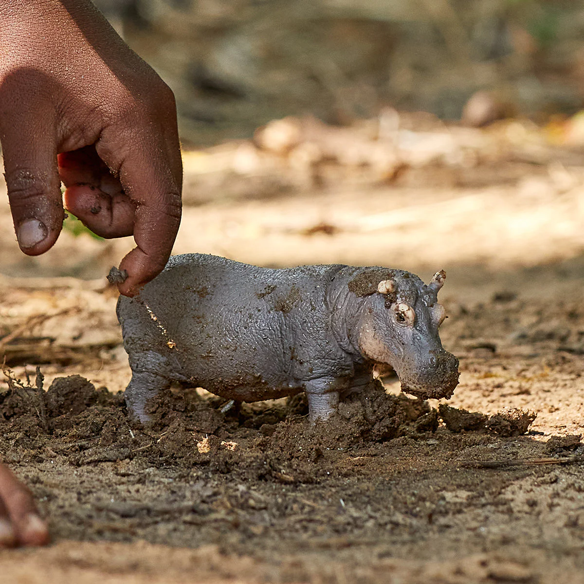 Miniature 2