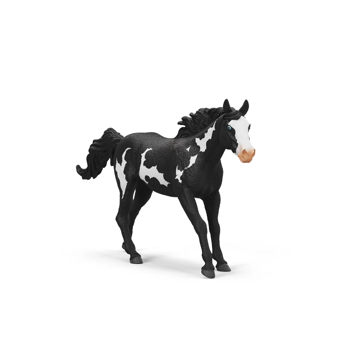 Miniature 6