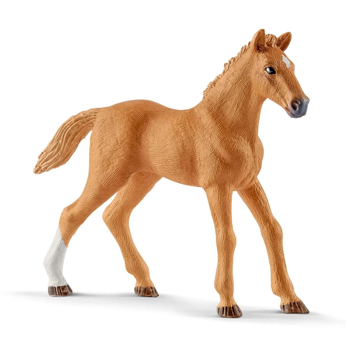 Miniature 5