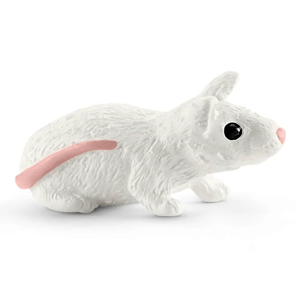 Miniature 5