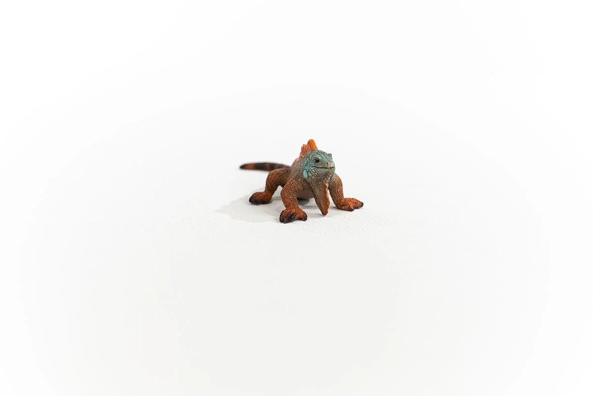 Miniature 2