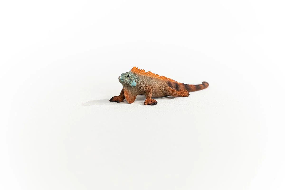 Miniature 3