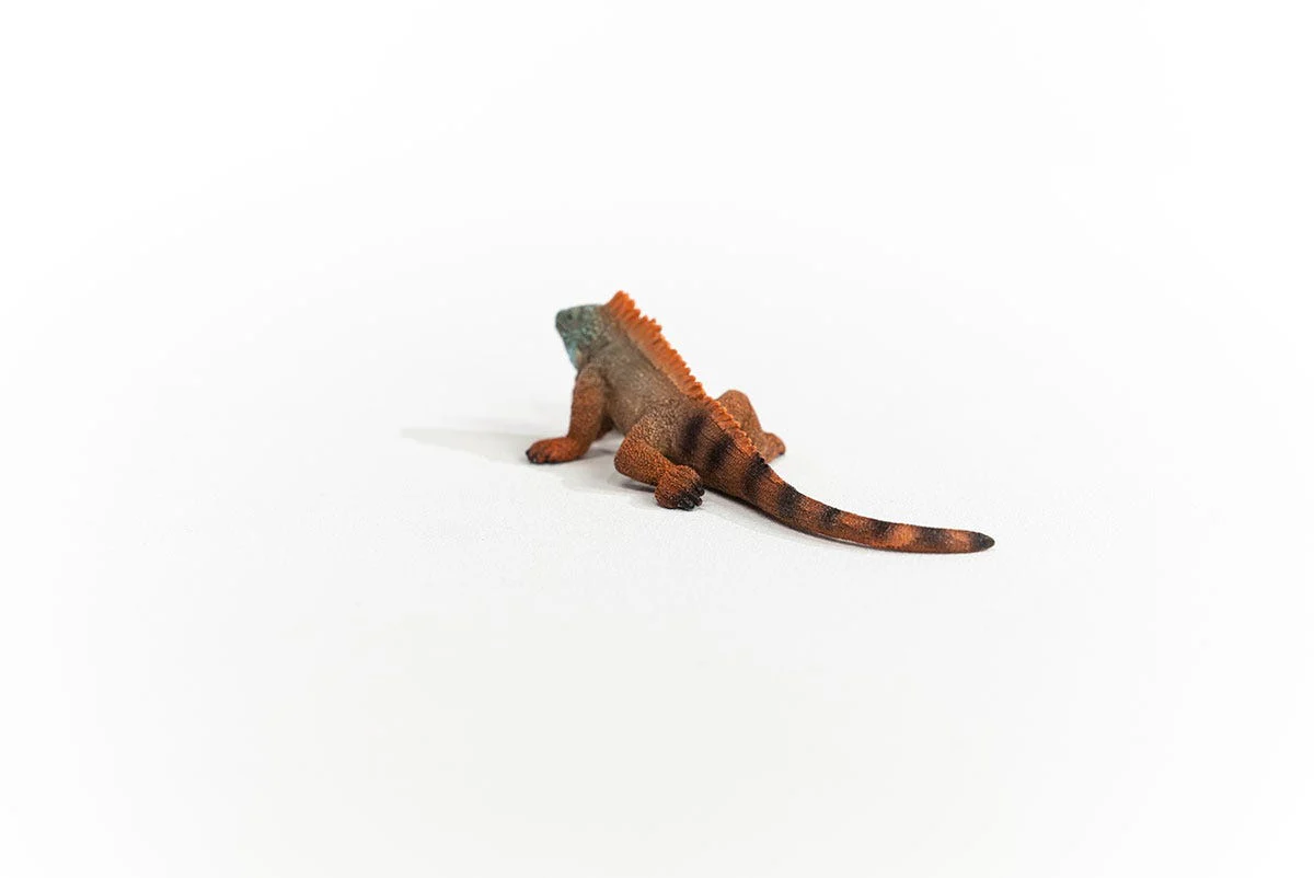 Miniature 4