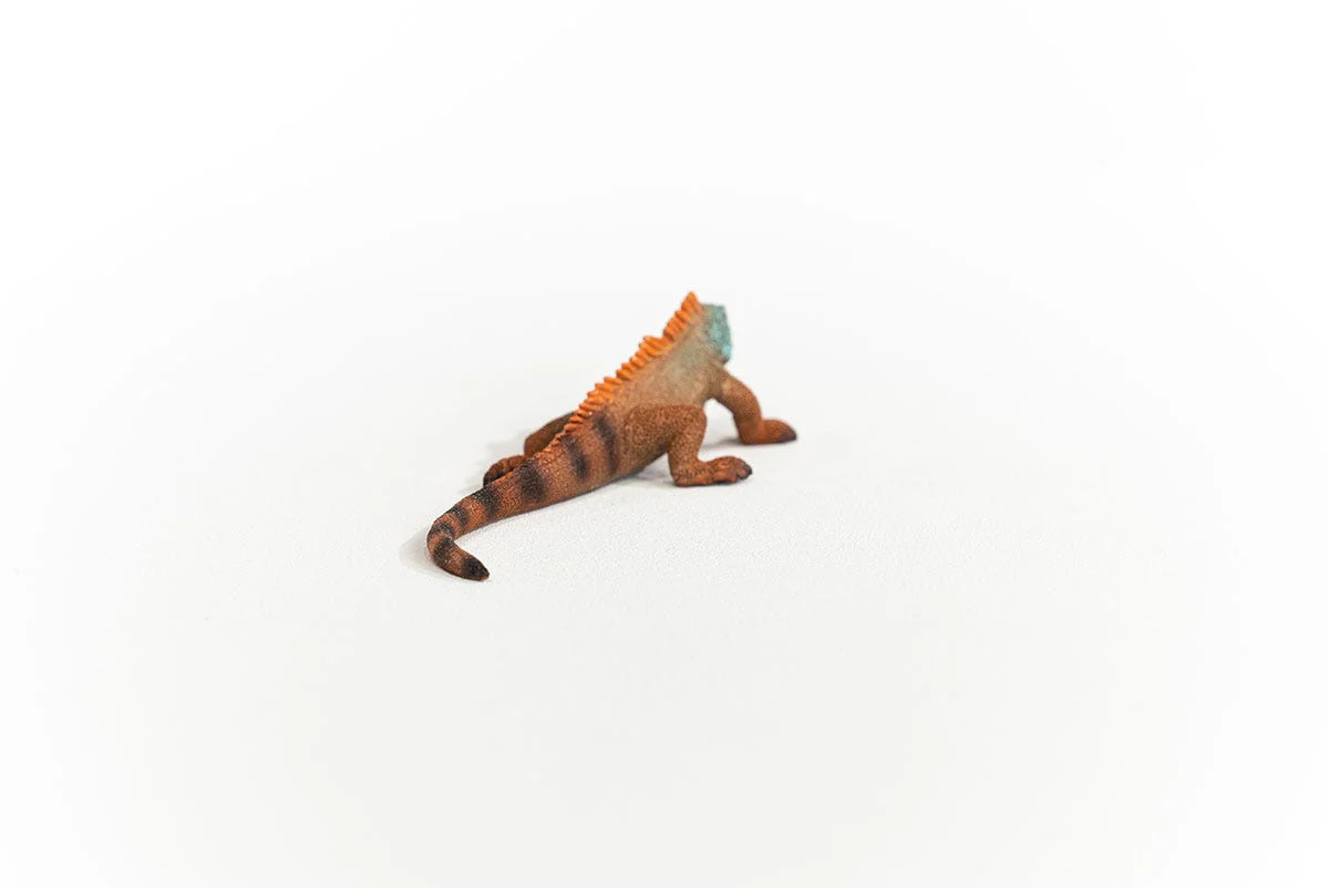 Miniature 5