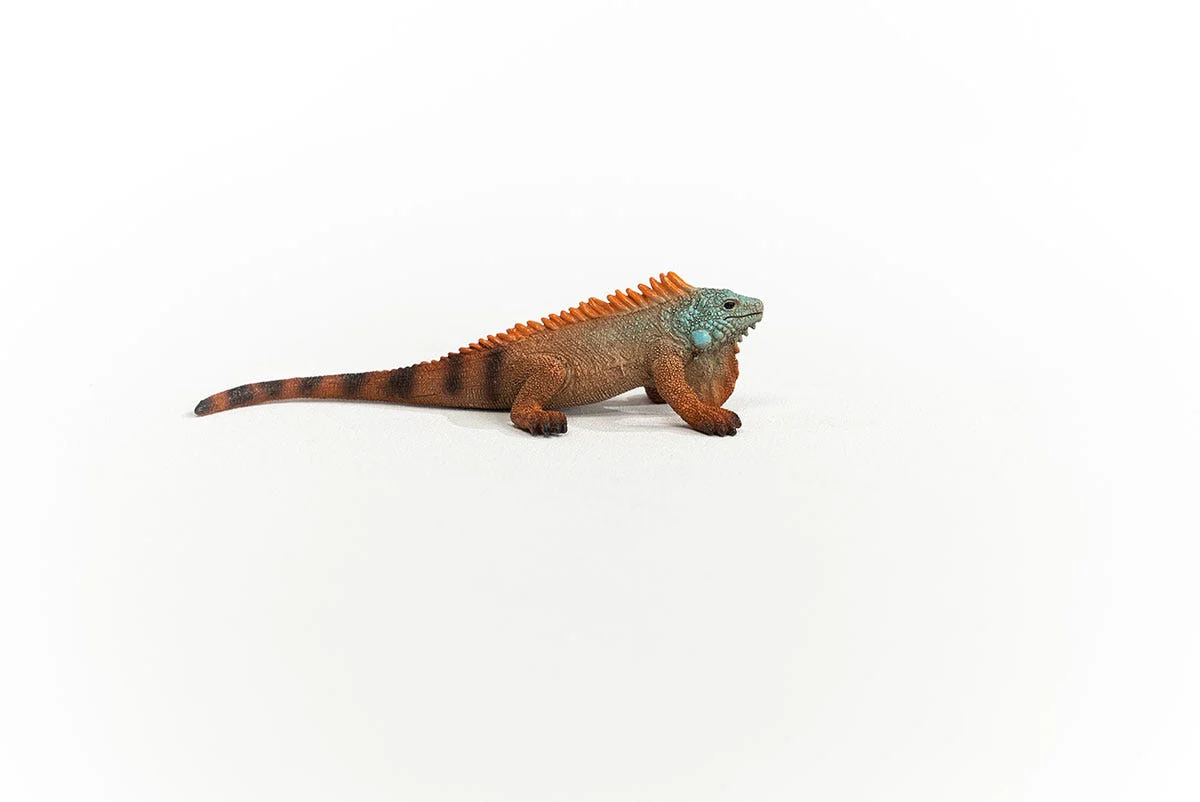 Miniature 6