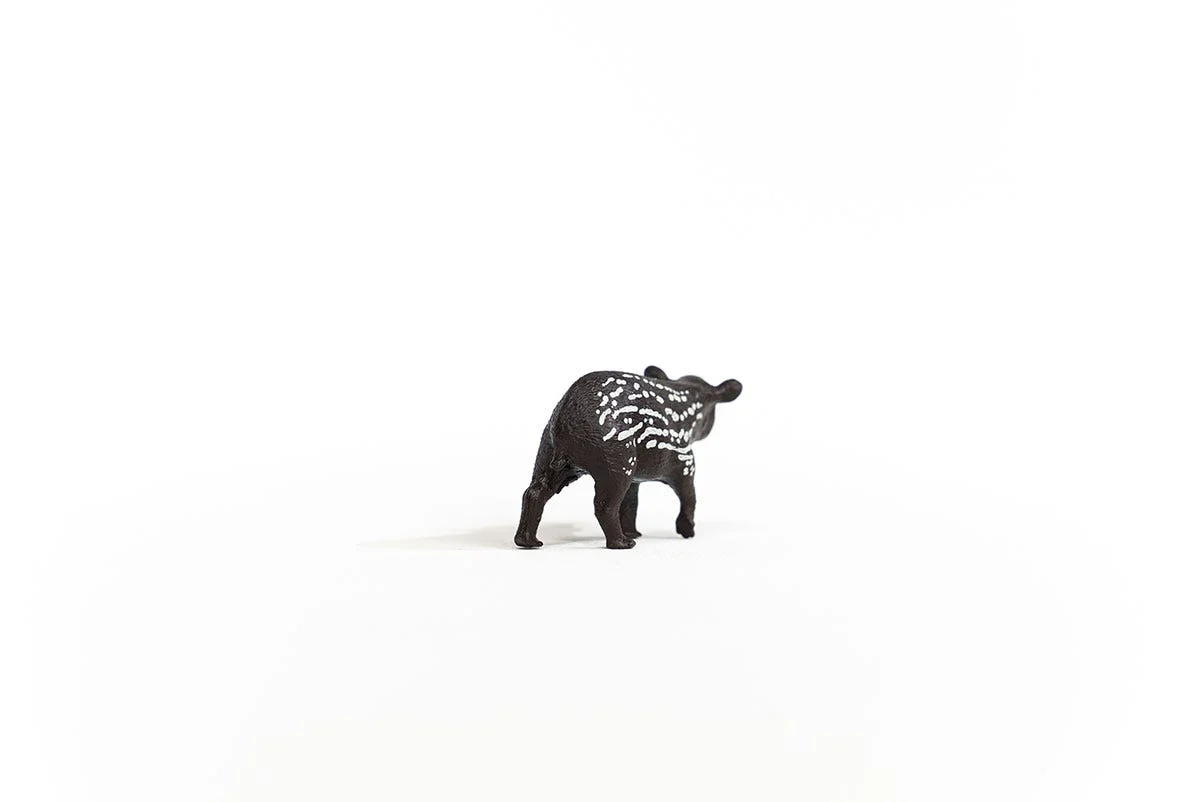Miniature 4