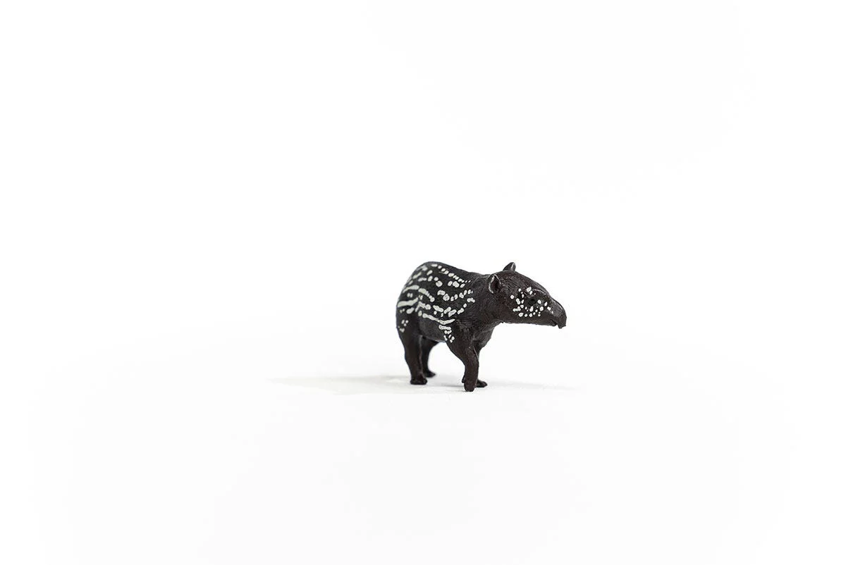 Miniature 5