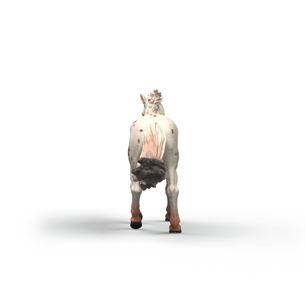Miniature 5