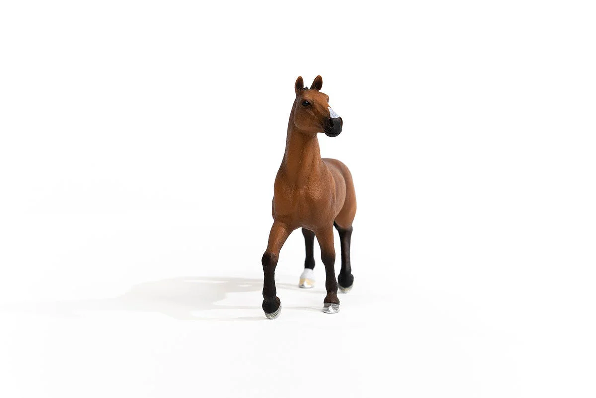 Miniature 3