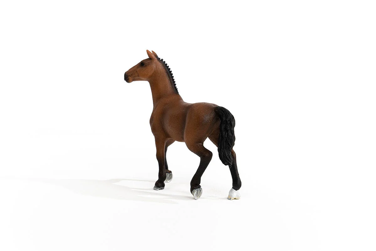 Miniature 5