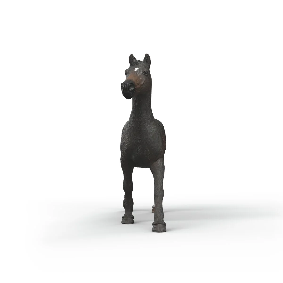 Miniature 5