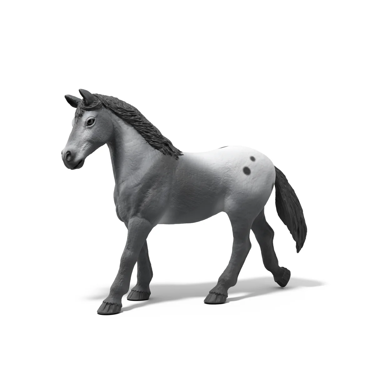 Miniature 4