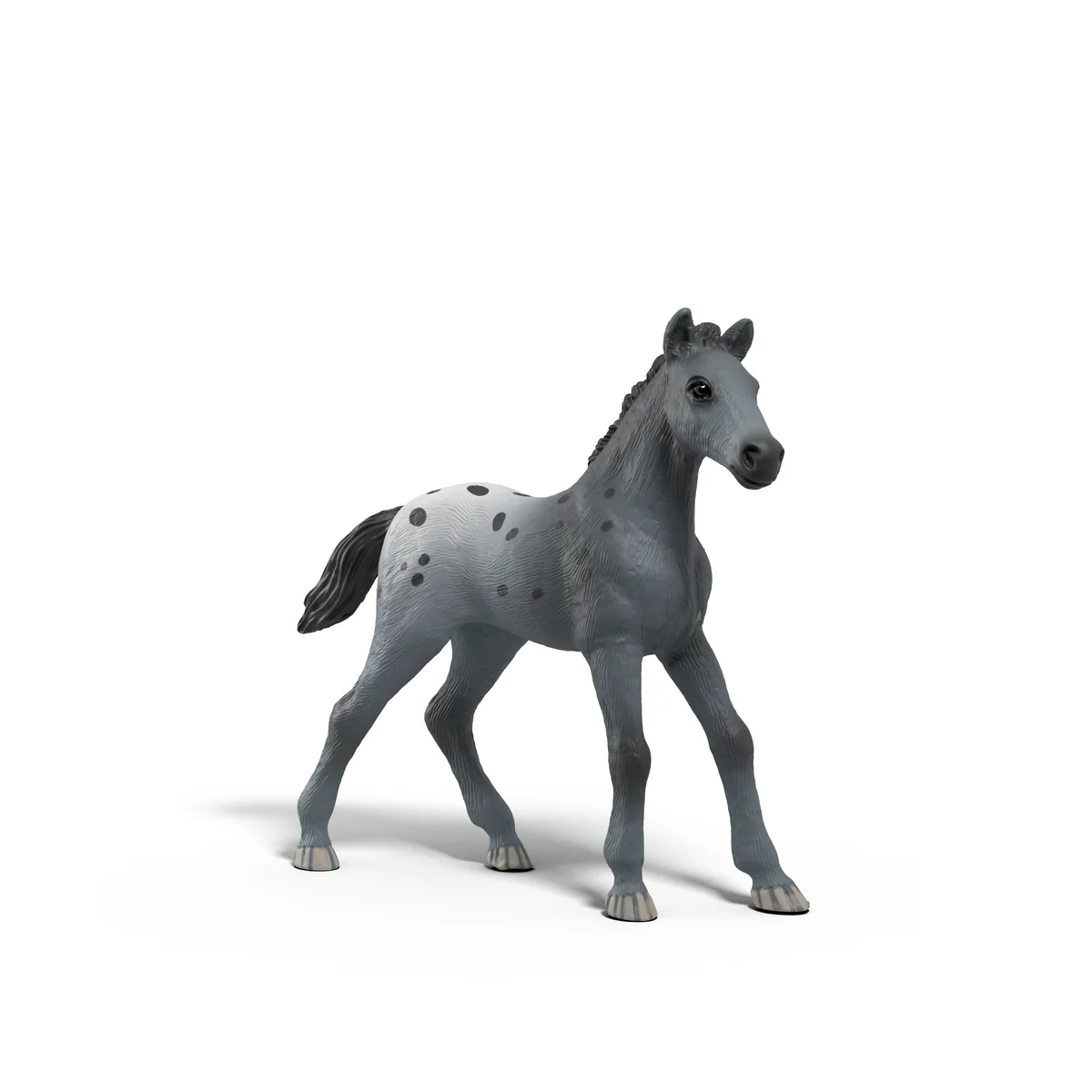 Miniature 5