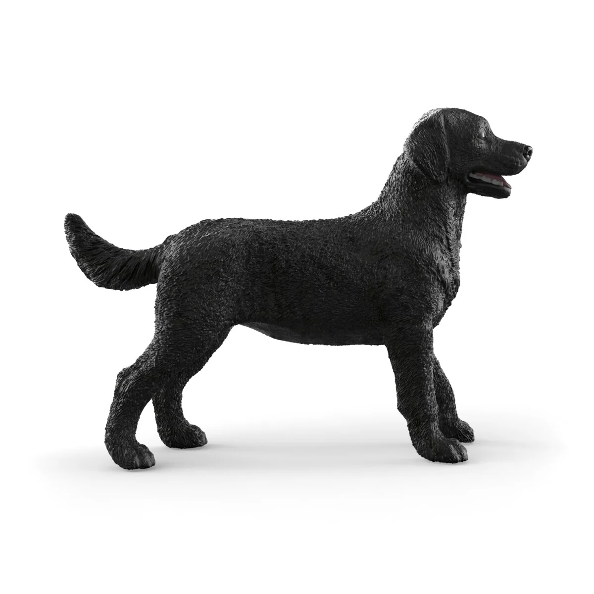 Miniature 5
