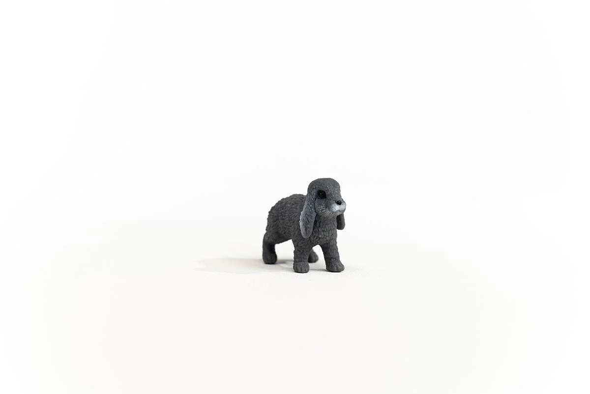 Miniature 5