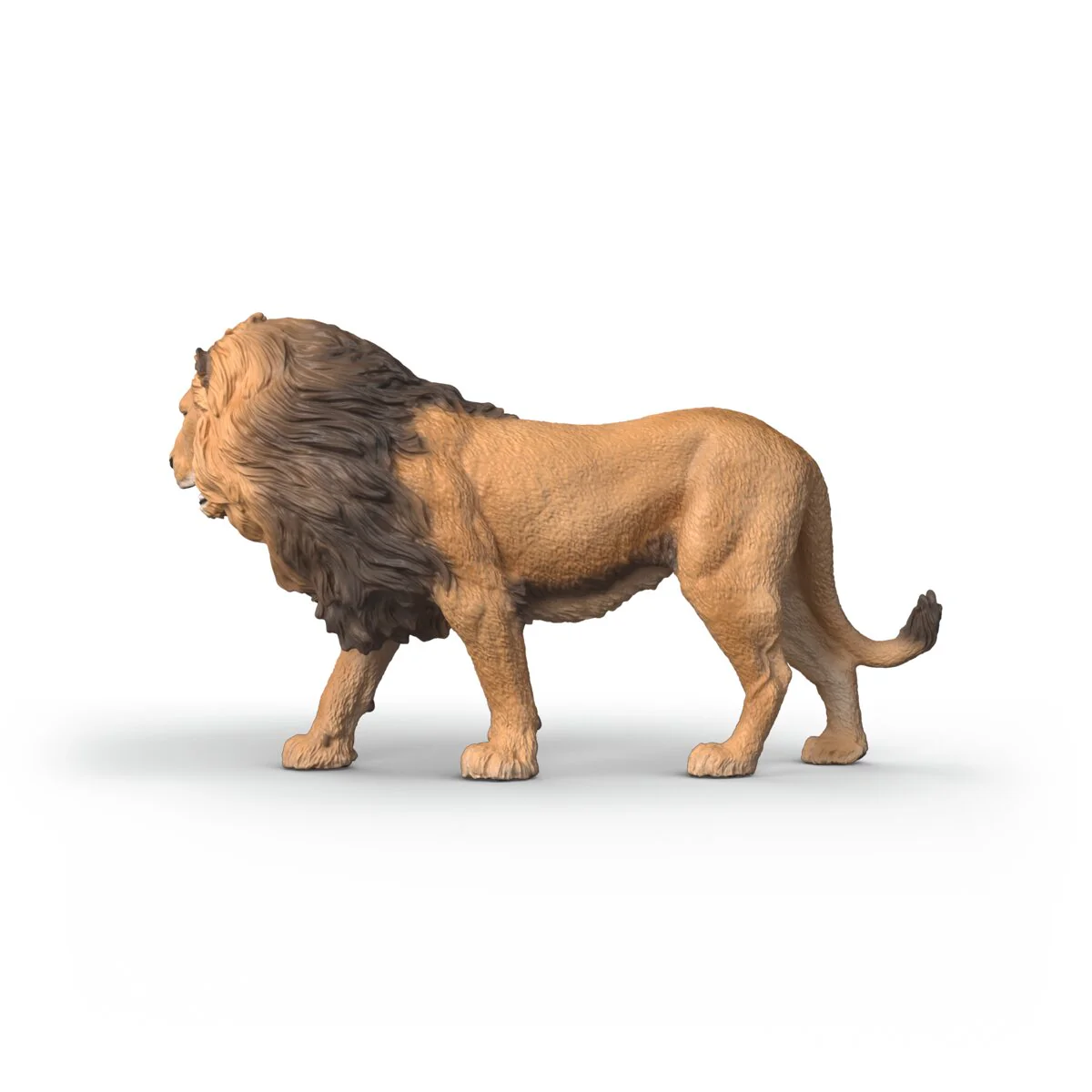 Miniature 5