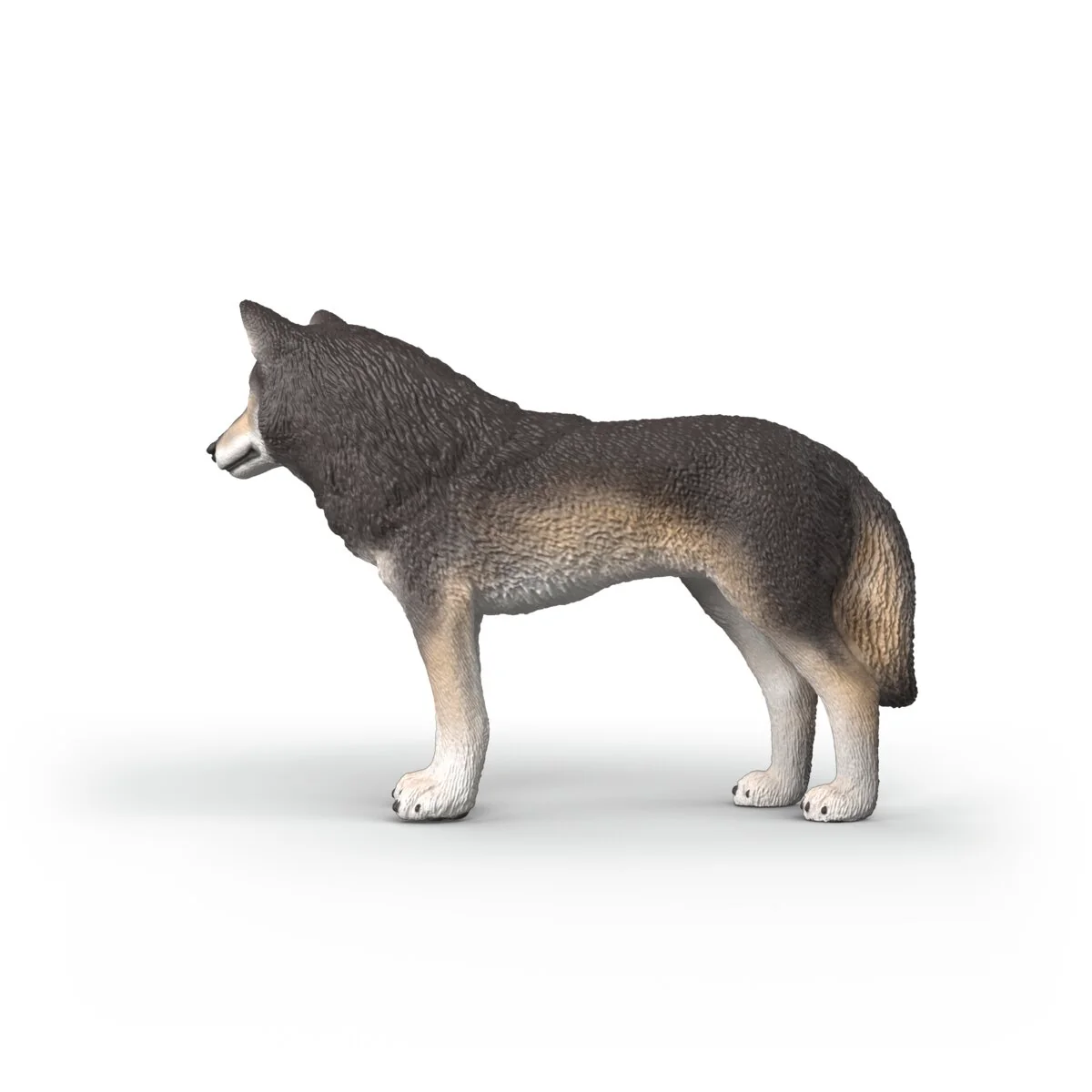 Miniature 5